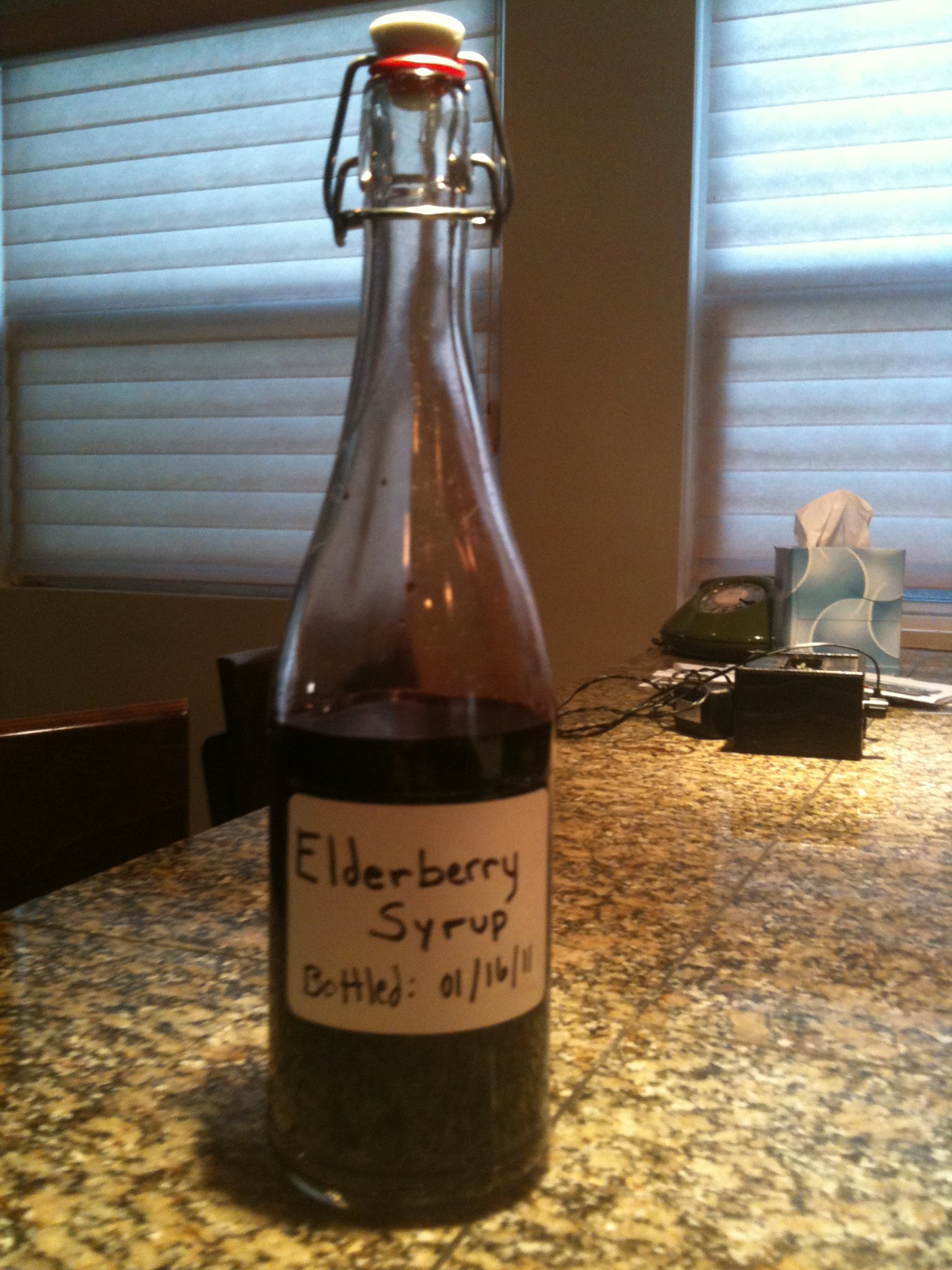Make Your Own Elderberry Extract